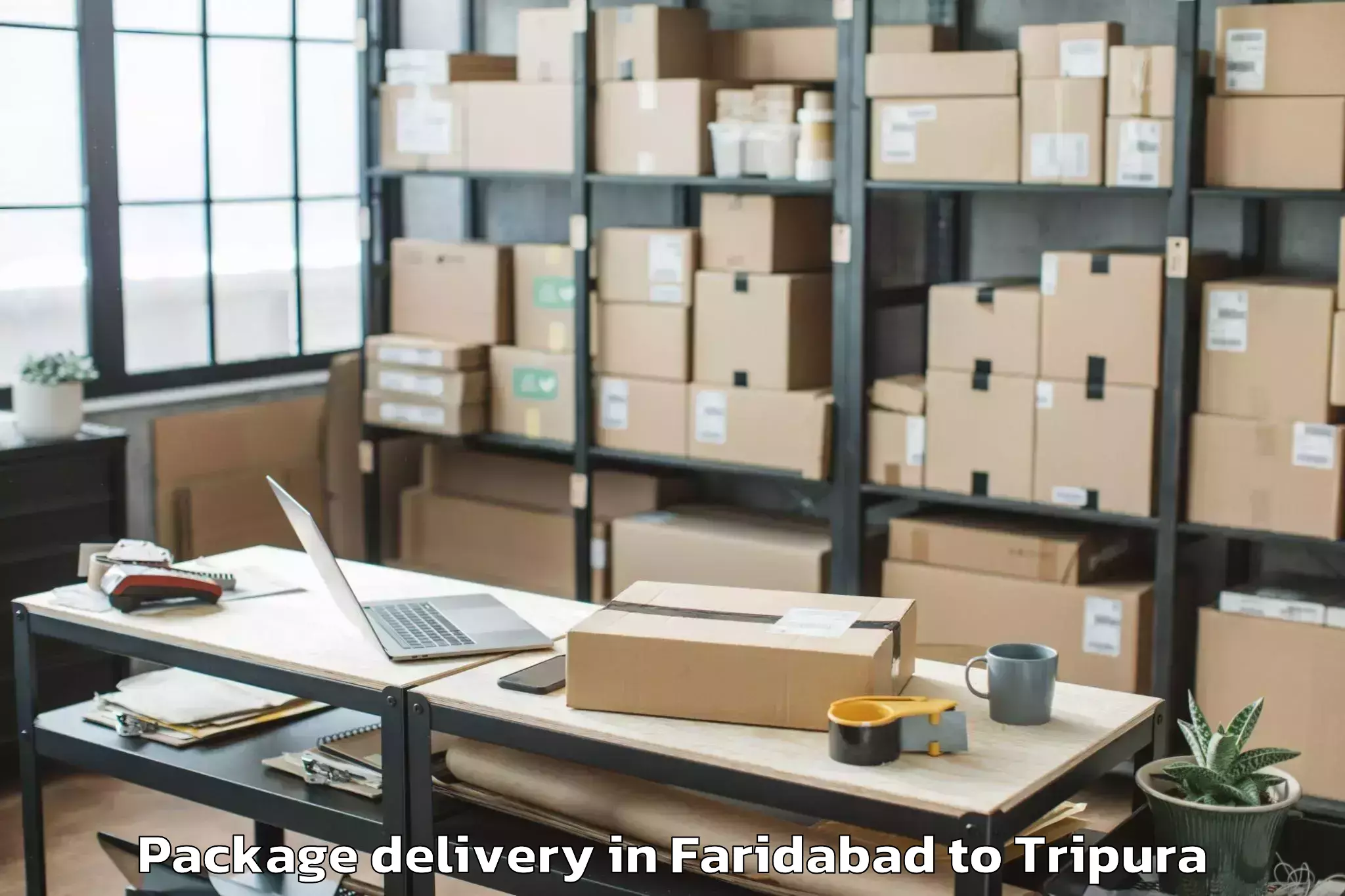 Easy Faridabad to Kailashahar Package Delivery Booking